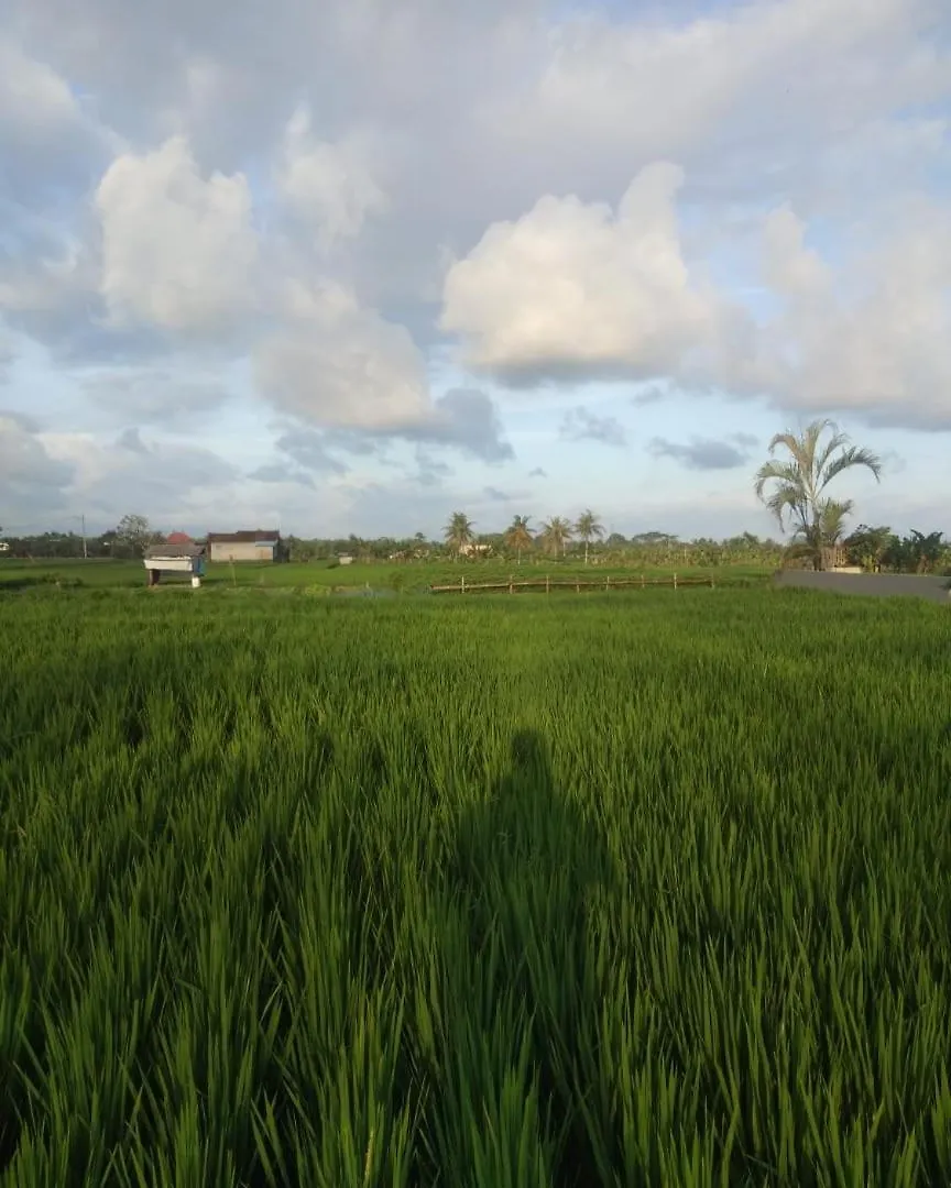 The Morgan Villa Ubud  Indonesia